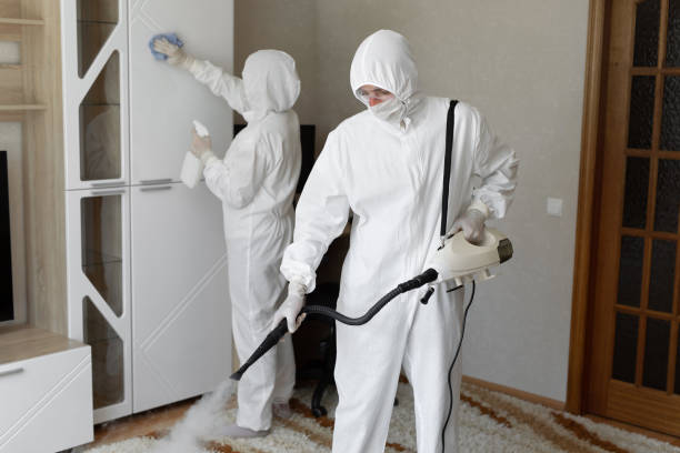 Mold Testing and Removal in Morton Grove, IL